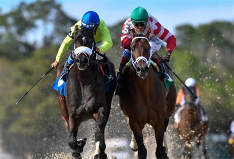 horse oddschecker|oddschecker horse racing tomorrow.